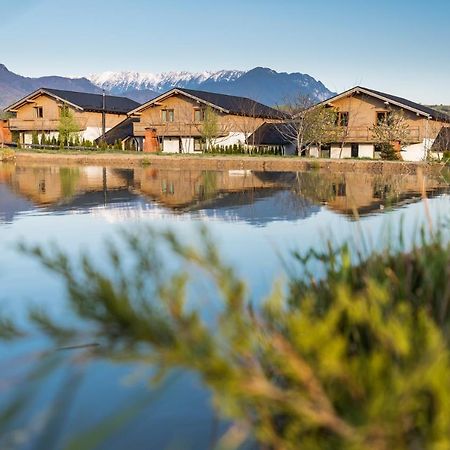 Green Resort Bran Bran  Dış mekan fotoğraf