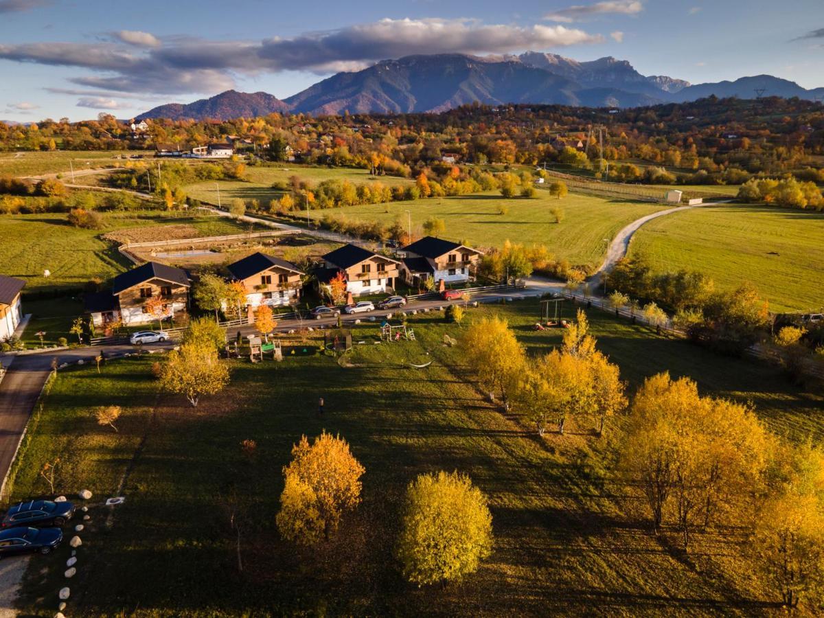 Green Resort Bran Bran  Dış mekan fotoğraf