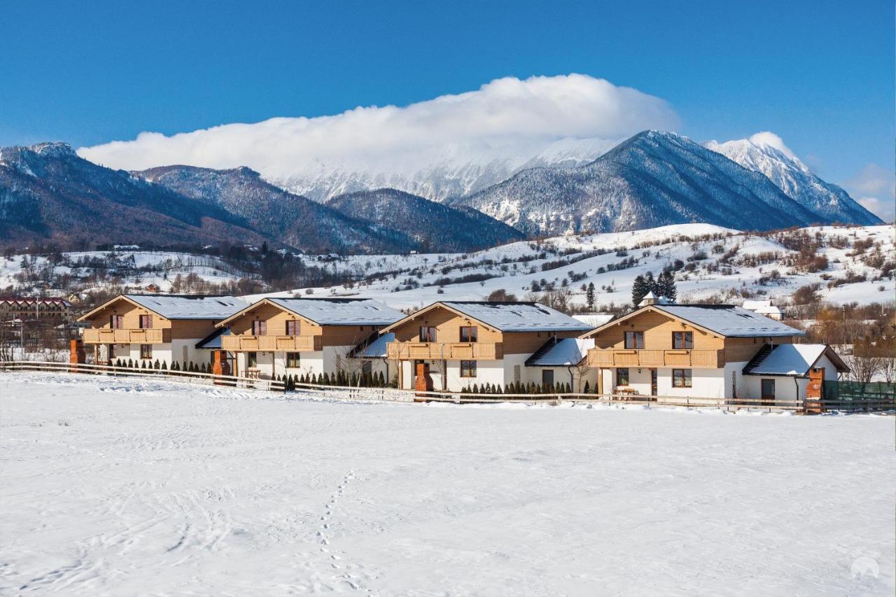 Green Resort Bran Bran  Dış mekan fotoğraf