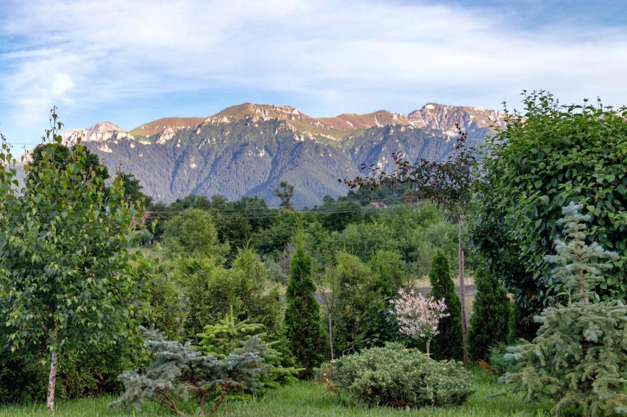 Green Resort Bran Bran  Dış mekan fotoğraf