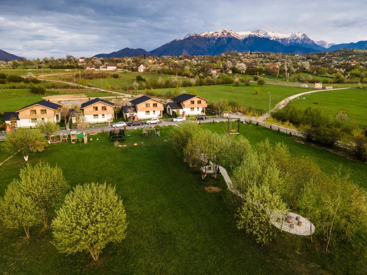 Green Resort Bran Bran  Dış mekan fotoğraf
