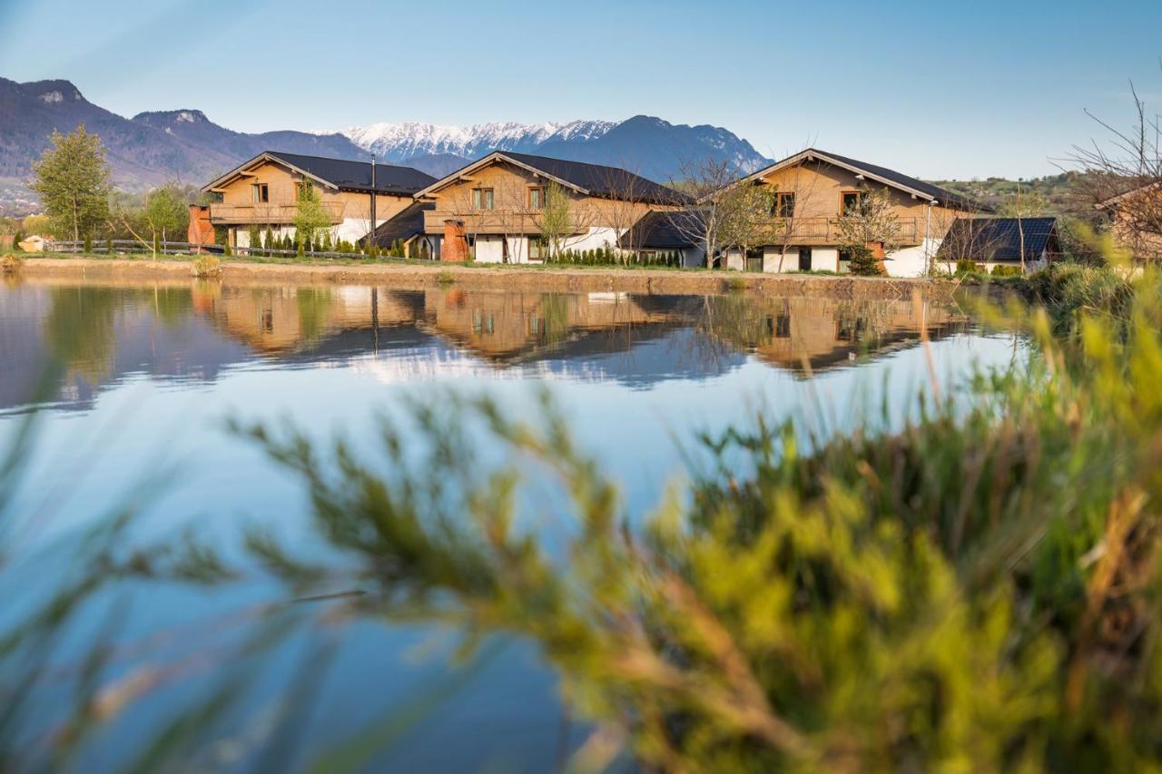 Green Resort Bran Bran  Dış mekan fotoğraf