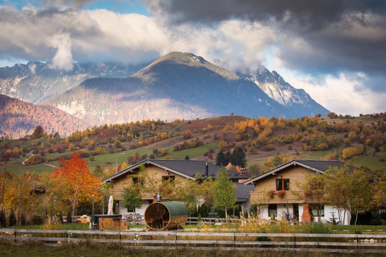 Green Resort Bran Bran  Dış mekan fotoğraf