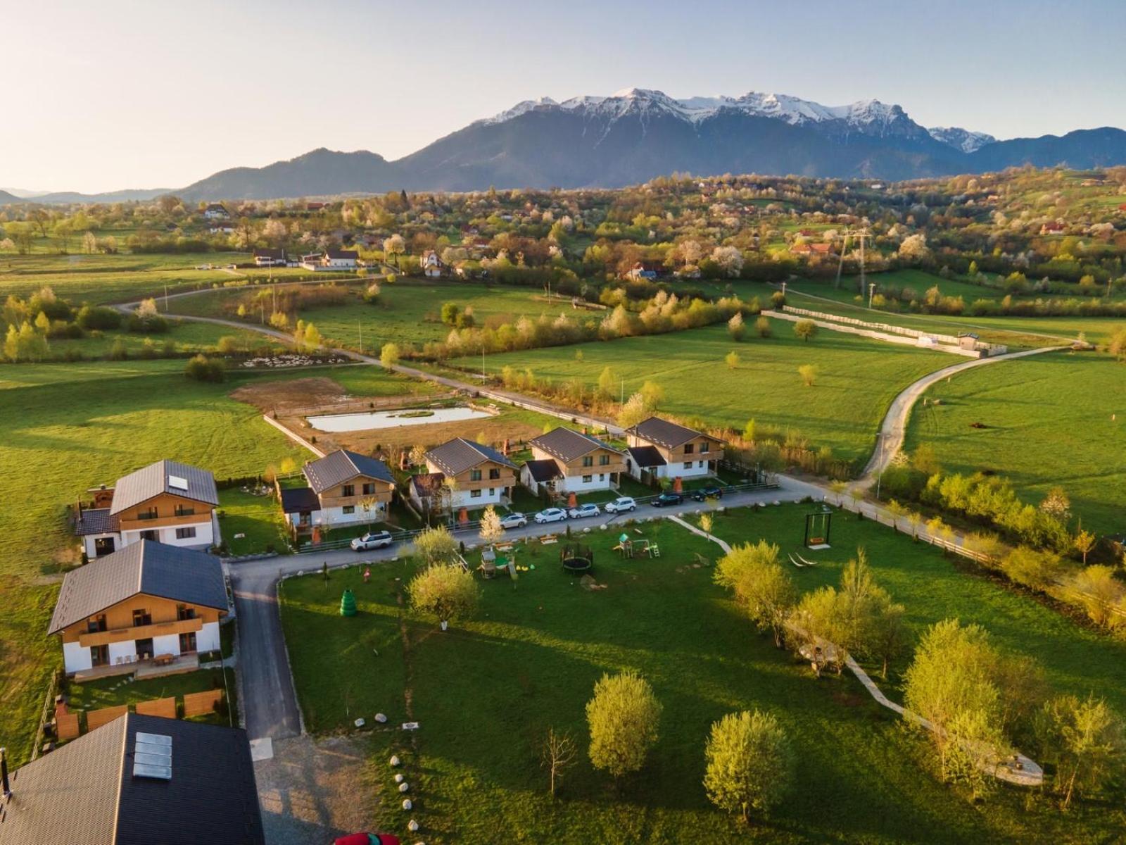 Green Resort Bran Bran  Dış mekan fotoğraf