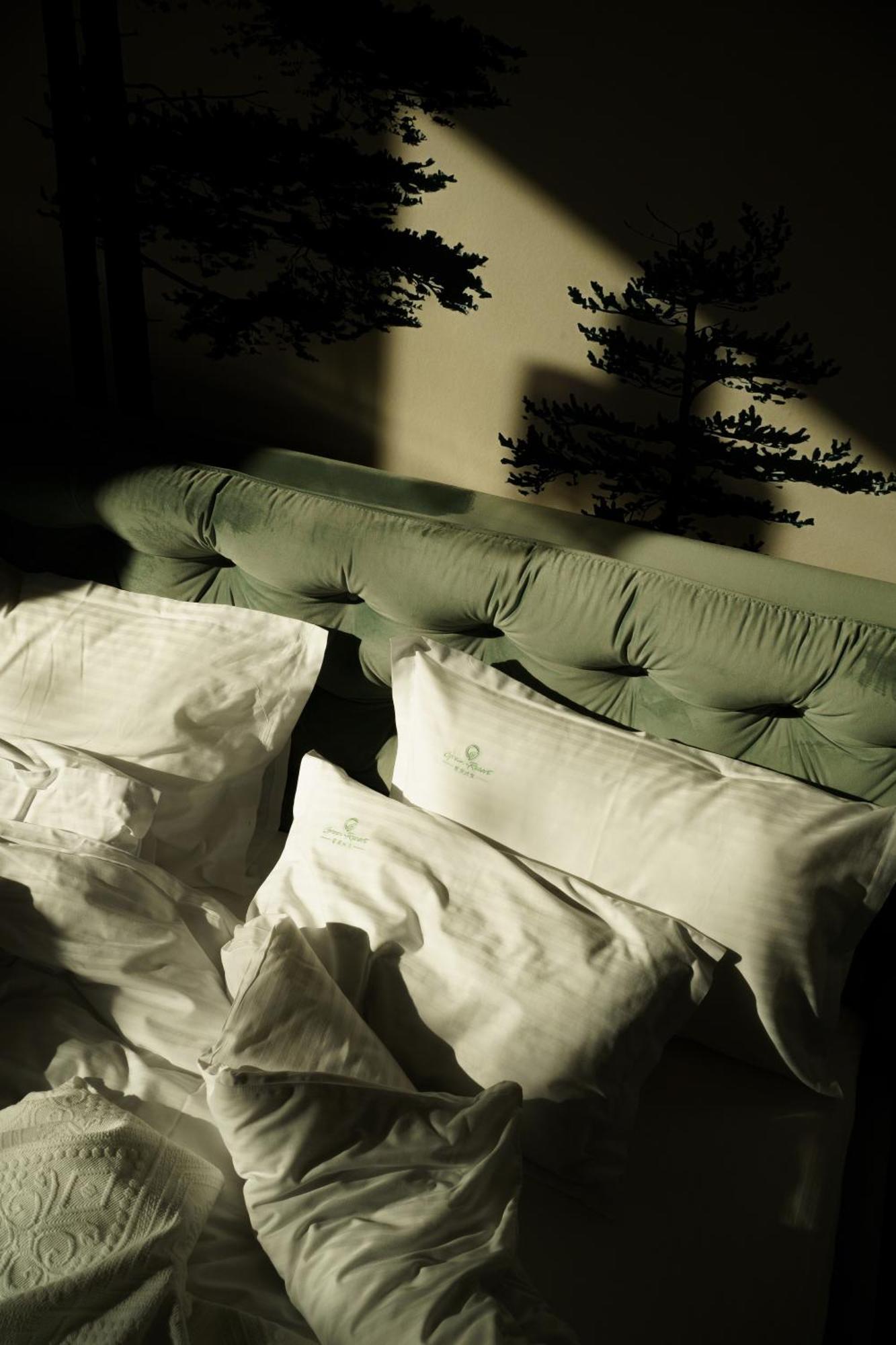 Green Resort Bran Bran  Dış mekan fotoğraf