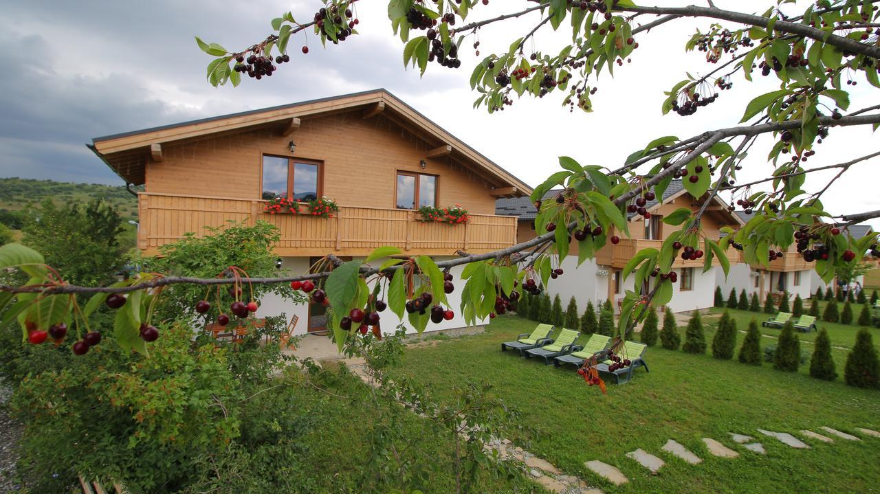 Green Resort Bran Bran  Dış mekan fotoğraf